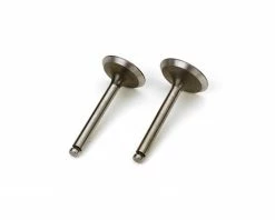 Saito Engines Valve (In/Out Pair): AG,AH,BN,CA
