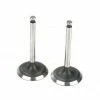 Saito Engines Valve (In & Out)Pair:AD,AE