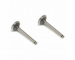 Saito Engines Valve-In/Out (2):G-J,R,S