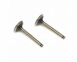 Saito Engines Valve In/Out (K, DD, EE, CF)