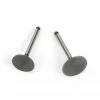 Saito Engines Valve (In & Out) Pair: FG-36: AK, BP